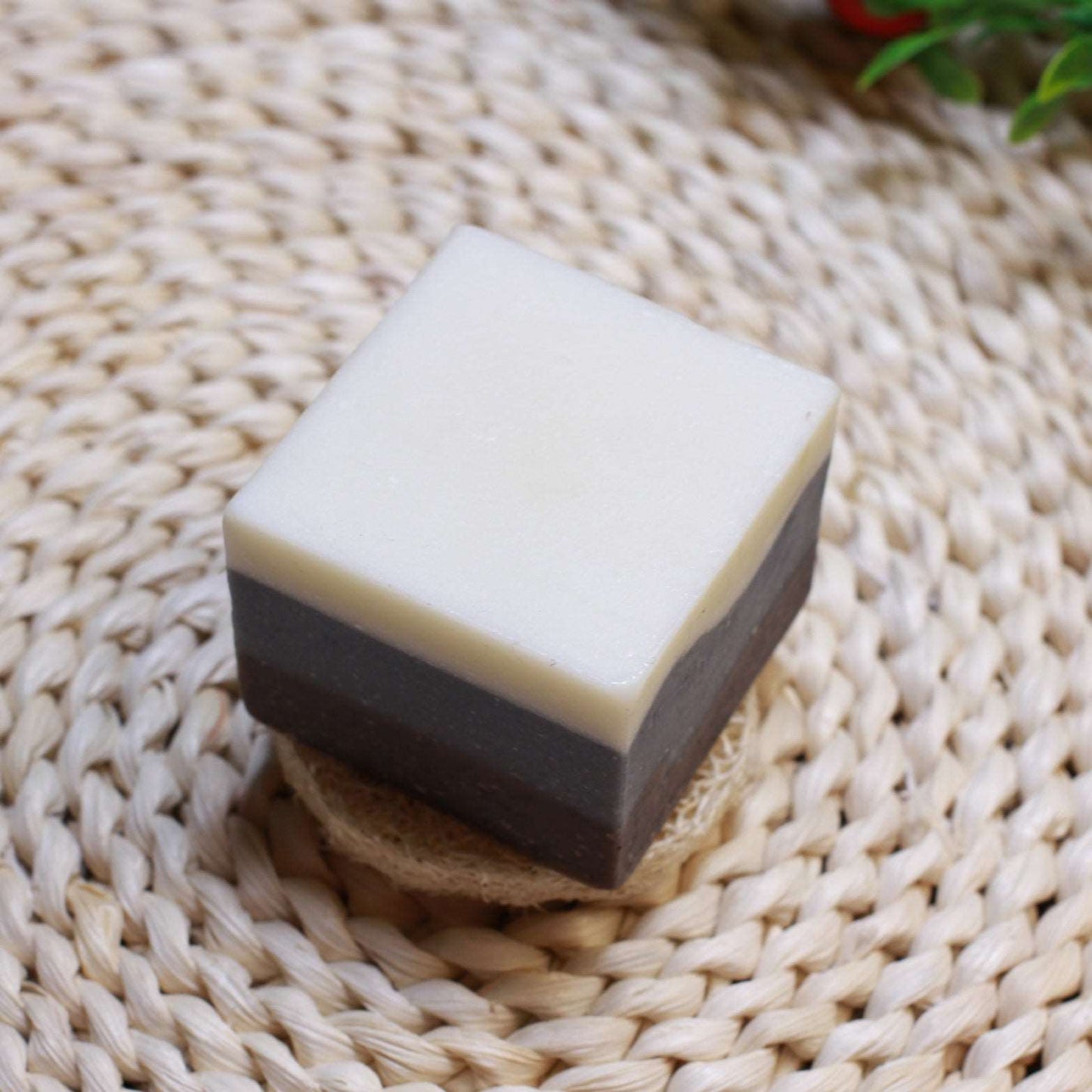 Handmade Echinacea Cold Process Soaps for Face Cleaning Men Hydrating Organic Pores Tightening